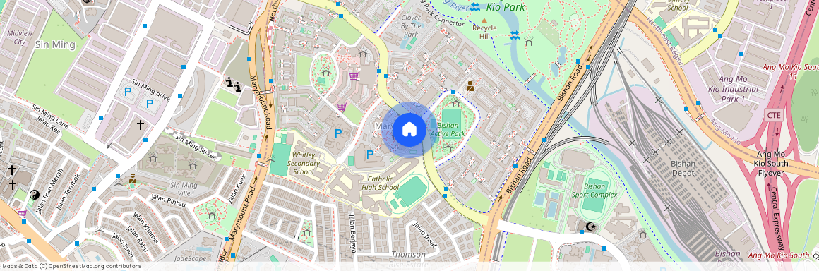 293 Bishan Street 22 (570293), Singapore