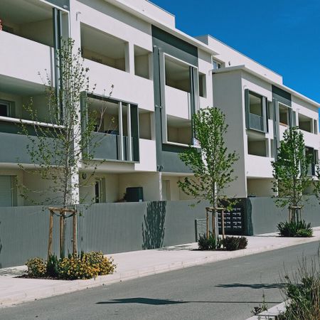 Location Appartement 2 pièces 39m² POLLESTRES 66450 - Photo 4