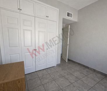 Chihuahua, NUEZ DE ANACARDO, Ciudad Juárez - Photo 3