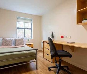 Bronze Non Ensuite - Photo 6