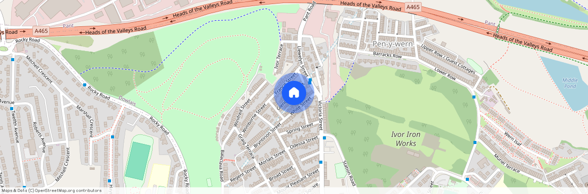 Glendower Street, CF48