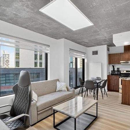 Condo Style Loft 1 chambre a coucher Griffintown 1085 Smith, Montreal FULLY FURNISHED/MEUBLÉ, gym, pool, spa, appliances, piscine, electros - Photo 3