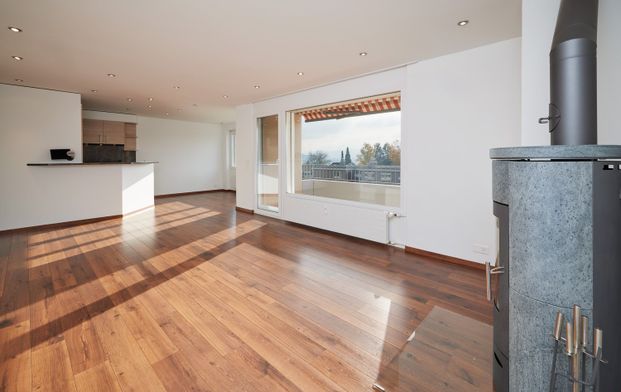 4½-Zimmerwohnung, hoher Ausbaustandard, wunderschöne Aussicht - Photo 1