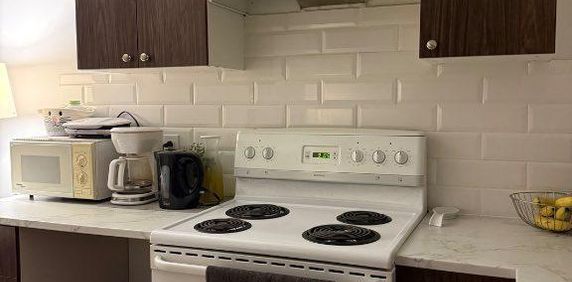 4 1/2 à louer complètement rénové à Parc-Extension - Photo 2