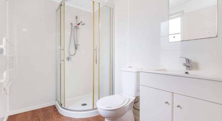 131 Boundary Road, Claudelands - Photo 4