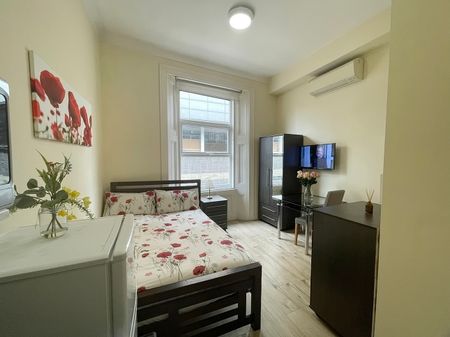 Air-conditioned Double Studio Flat - Photo 2