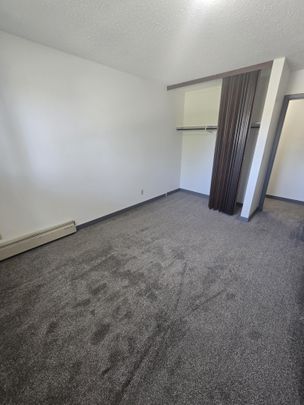 Spacious Two Bedroom unit on South Hill - Photo 1