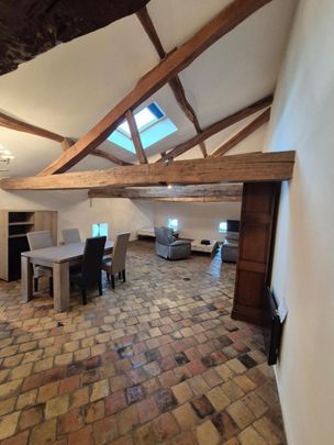 Location Appartement 1 pièce 53m² MACON 71000 - Photo 1