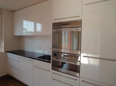 Modern apartment in the immediate vicinity of the Schaffhauserplatz - Photo 2