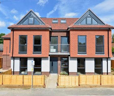 Lion Mead, Haslemere, Surrey, GU27 - Photo 2