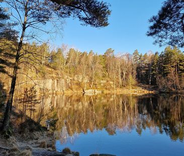 Ungmästaregatan, Göteborg - Photo 1