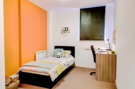 Deluxe Studio - Photo 5