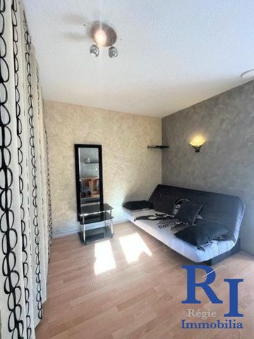 Location Appartement 1 pièce 17m² GRENOBLE 38100 - Photo 2