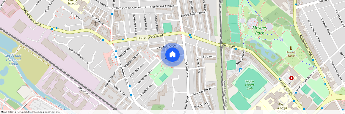 Birch Street, Springfield, Wigan, WN6 7EB