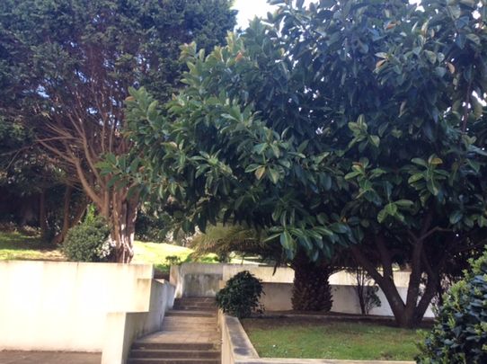 Simpático Apartamento T2 para Arrendamento no Porto - Photo 1