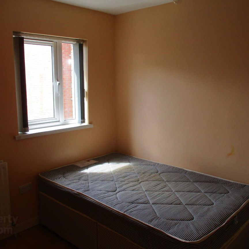 Great Apartment, 68c University Avenue, Queens Quarter, Belfast - Photo 1