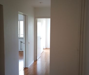 Ekbacken, Asarum - Foto 1