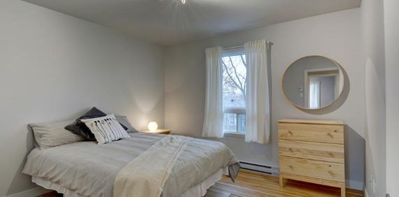 Appartement 4 ½ à louer Sainte-Foy / Sillery mai 2026 - Photo 2