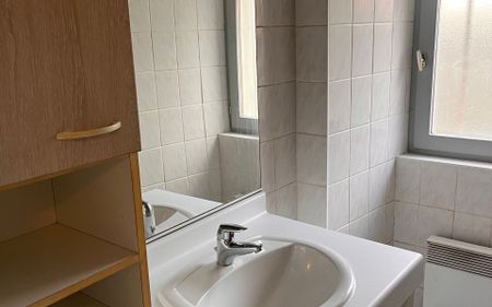 Appartement à louer 2 pièces • 38,61 m2 La Roche-sur-Foron - Photo 4