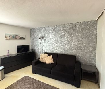 Location Appartement 1 pièce 20m² - Photo 1