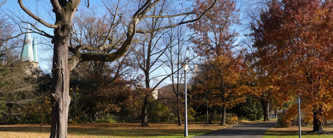 Calming & Inviting! - Photo 1