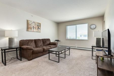 1 Bedroom - Photo 4