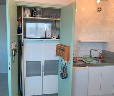 Location Appartement 1 pièce 16m² - Photo 3