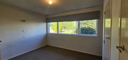 Feel Rural Close To Town - Te Puke - Photo 3