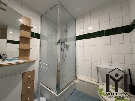 Location Appartement 2 pièces Meublé 28m² NANCY 54000 - Photo 5