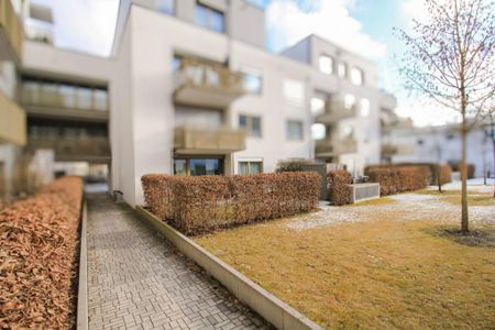 Innenstadtnah | Hochwertige 3-Zi.-EG-Wohnung mit Gartenanteil & überdachter Terrasse | 2 TG-Plätze - Photo 4