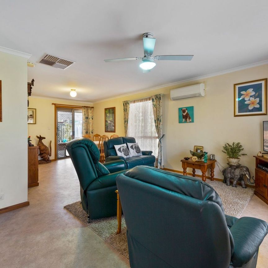 Entertainers Paradise - Photo 1