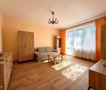 Grudziądz, Centrum Mieszkanie na wynajem - Zdjęcie 3