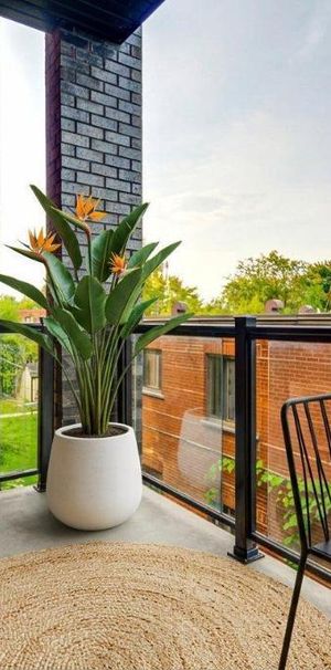 Un magnifique condo - Photo 1