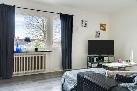 Poppelvägen, Sölvesborg - Foto 4