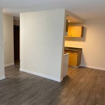 Central Mount Pleasant 1 Bdrm Apt with Storage - Photo 4