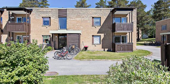 Sandbackavägen 22 B, Umeå - Photo 2