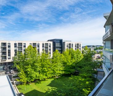 46/5 Burbury Close, Barton ACT 2600 - Apartment For Rent | Domain - Photo 5