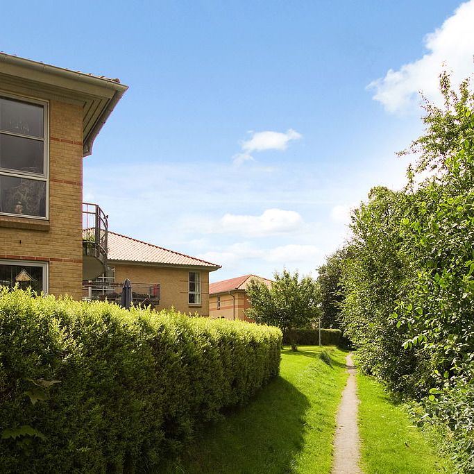 Grejsåvænget 45, 1. th. - Photo 2