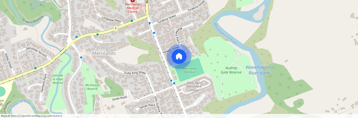 22a Waiwera Place, Merrilands, New Plymouth