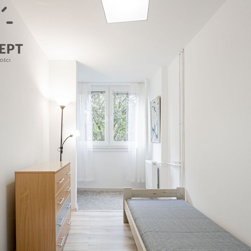 Pełen rozkład | 3-pok. | Piwnica | Krzyki - Zdjęcie 1