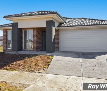 Family Living Made Easy in the Heart of Tarneit! - Photo 3