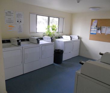 Fully furnished studio unit with one bathroom on the ground floor - Photo 6