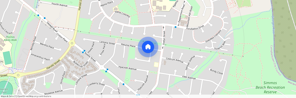 14 Cyclamen Place, NSW 2564, Macquarie Fields