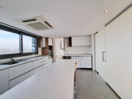 Kiseleff park one-of-a-kind penthouse For Rent - Fotografie 3