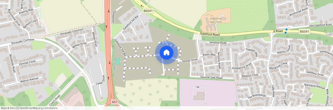 Redstart Place, Nottinghamshire, S81