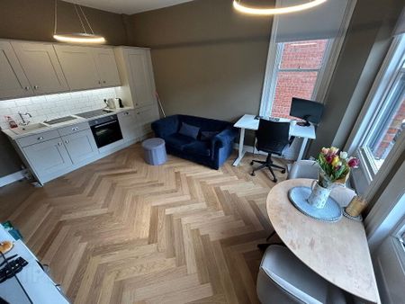 Apt 4, 3 Eglantine Place, Belfast, BT9 6EY - Photo 5