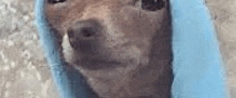 SOS dringend wohnung oder wg zimmer gesucht !!! Bis 600€ warm - Photo 1