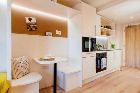 Silver Studio Plus - Photo 4