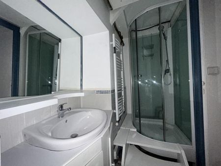 Location Appartement 2 pièces Meublé 52m² AIX LES BAINS 73100 - Photo 5