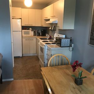 4 1/2 Mont-Laurier, Super Logement à ne pas manqué - Photo 2